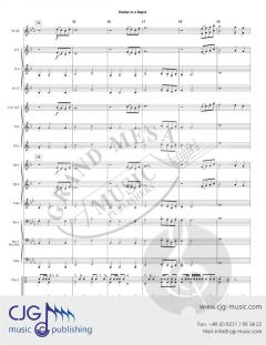 Rattler in a Rapid von Walter Cummings 