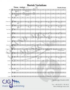 Bartok Variations von Timothy Broege 