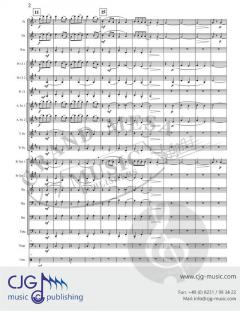 Bartok Variations von Timothy Broege 