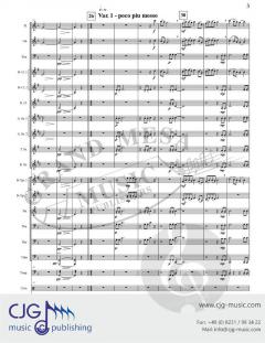 Bartok Variations von Timothy Broege 