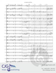 Our Flag Was Still There von Kirk Vogel 