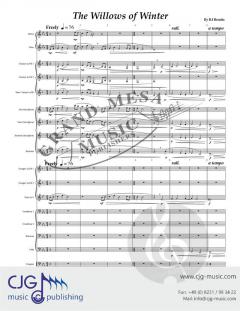 The Willows of Winter von B. J.  Brooks 