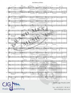 The Willows of Winter von B. J.  Brooks 