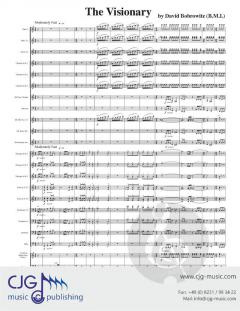 The Visionary von David Bobrowitz 