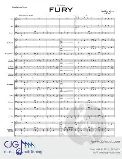 Fury von David A. Myers 