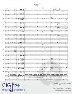 Fury von David A. Myers 