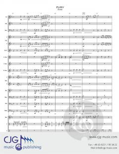 Fury von David A. Myers 