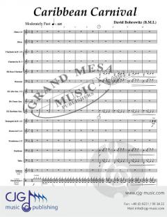 Caribbean Carnival von David Bobrowitz 