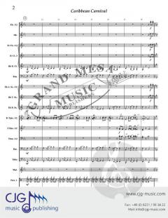 Caribbean Carnival von David Bobrowitz 