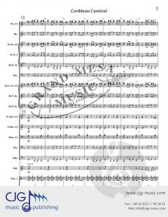 Caribbean Carnival von David Bobrowitz 