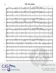 The Acrobats von David Reed 