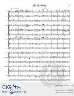 The Acrobats von David Reed 