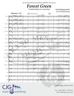 Forest Green von Timothy Broege 