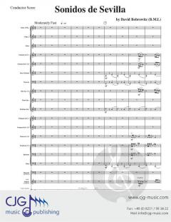 Sonidos de Sevilla von David Bobrowitz 