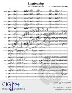 Luminosity and Other Colorations von David Bobrowitz 