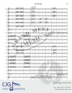 Luminosity and Other Colorations von David Bobrowitz 