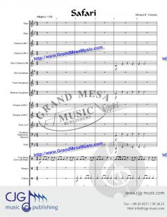 Safari von Michael Vertoske 