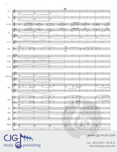 The Wayfarer's Journey von Douglas Akey 