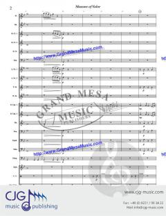 Measure of Valor von Gregory Danner 