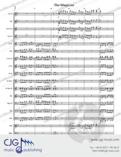 The Magician von David Bobrowitz 