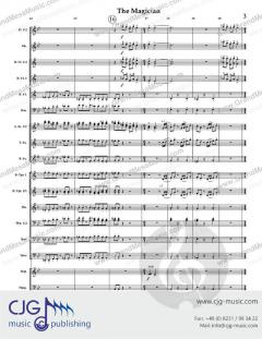 The Magician von David Bobrowitz 