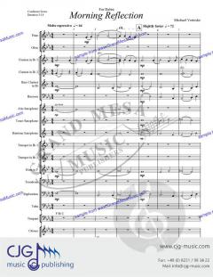 Morning Reflection von Michael Vertoske 