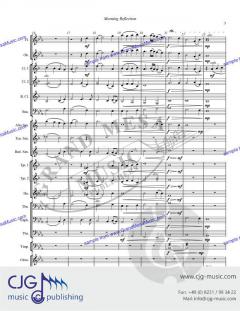 Morning Reflection von Michael Vertoske 