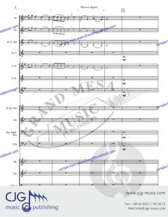 Warrior Angels von Chris Kamerling 