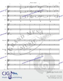 Warrior Angels von Chris Kamerling 