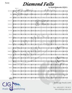 Diamond Falls von David Bobrowitz 