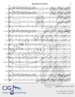 Reaching the Summit von Walter Cummings 