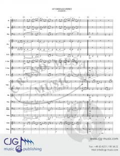 Of Emerald Shires von David A. Myers 