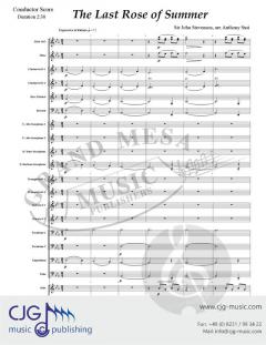 The Last Rose of Summer von John Stevenson 