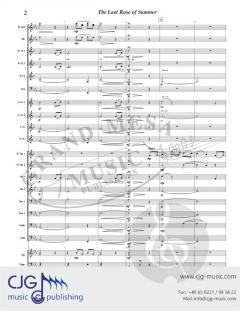 The Last Rose of Summer von John Stevenson 