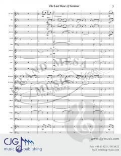 The Last Rose of Summer von John Stevenson 