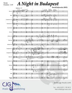 A Night in Budapest von David Bobrowitz 