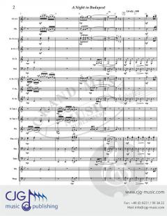 A Night in Budapest von David Bobrowitz 