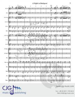 A Night in Budapest von David Bobrowitz 