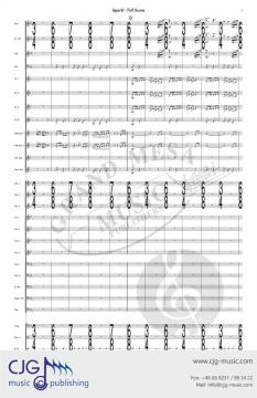 Spark! von Robert Langenfeld 