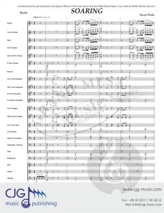 Soaring von Naoya Wada 