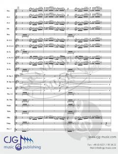 Crossing the Bosporus von Jukka Viitasaari 