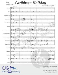 Caribbean Holiday von David Bobrowitz 