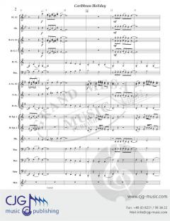 Caribbean Holiday von David Bobrowitz 