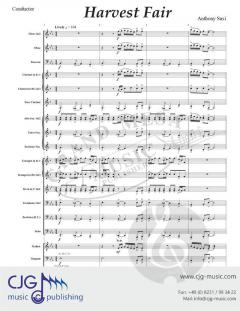 Harvest Fair von Anthony Susi 