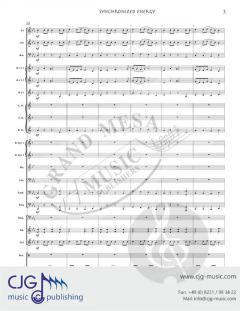 Synchronized Energy von Greg Fhiaras 