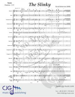 The Slinky von David Bobrowitz 