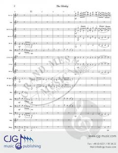 The Slinky von David Bobrowitz 