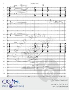 Curtain in the Sky von Robert Langenfeld 