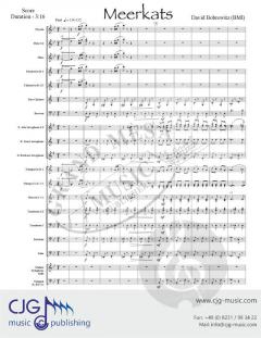 Meerkats von David Bobrowitz 