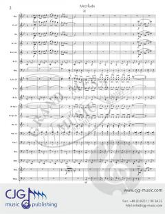 Meerkats von David Bobrowitz 